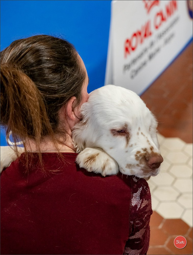 Expo canine  🇫🇷  Angers  22-23/03/2025. Photographe à Strasbourg | Portraits, Studio, Enfants, Événements