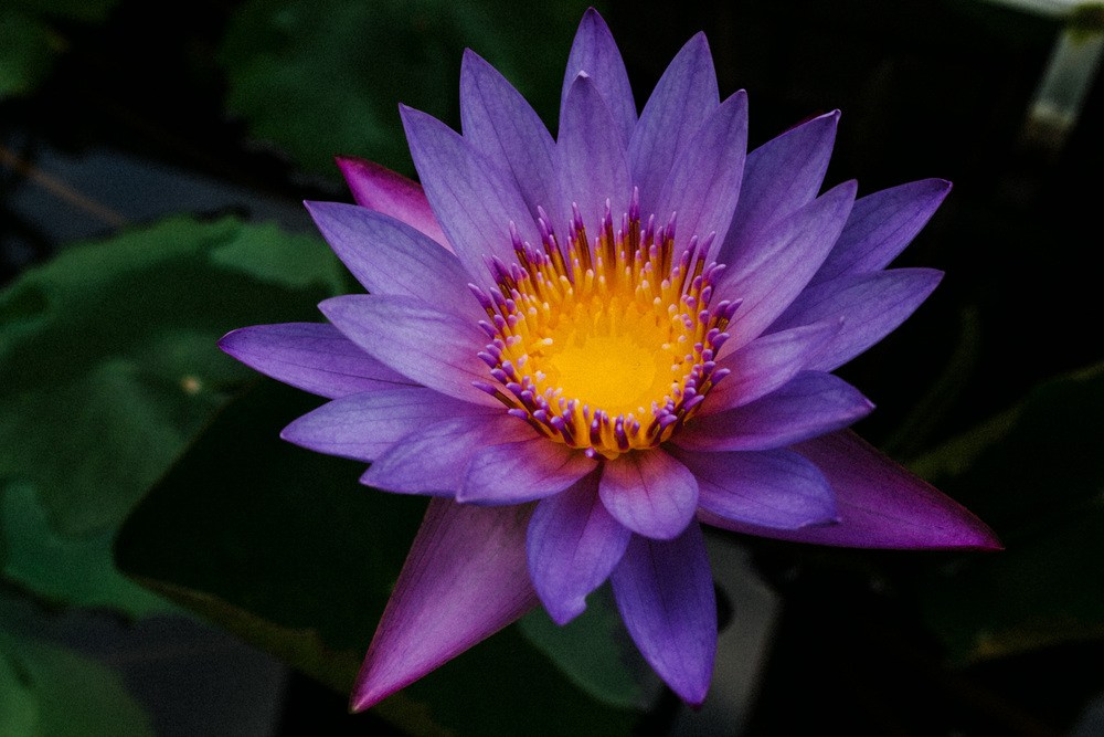 Berlin 🇩🇪. Photokostin.com