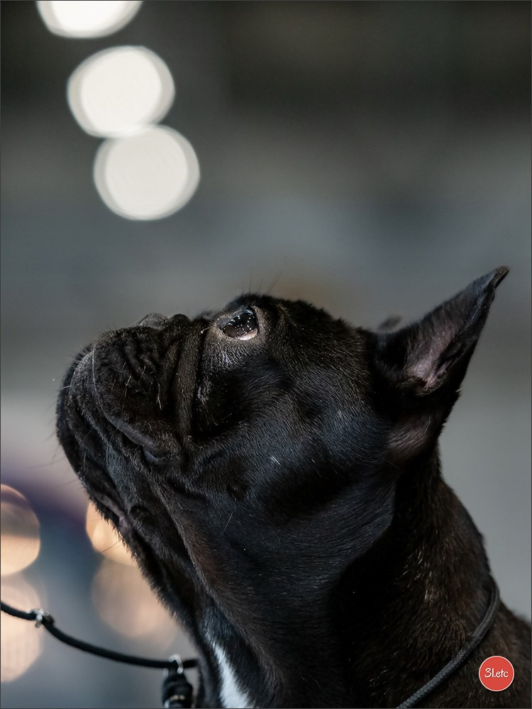 🇨🇭 Geneva 03-05.10.2025 🇨🇭. Photographe à Strasbourg | Portraits, Studio, Enfants, Événements