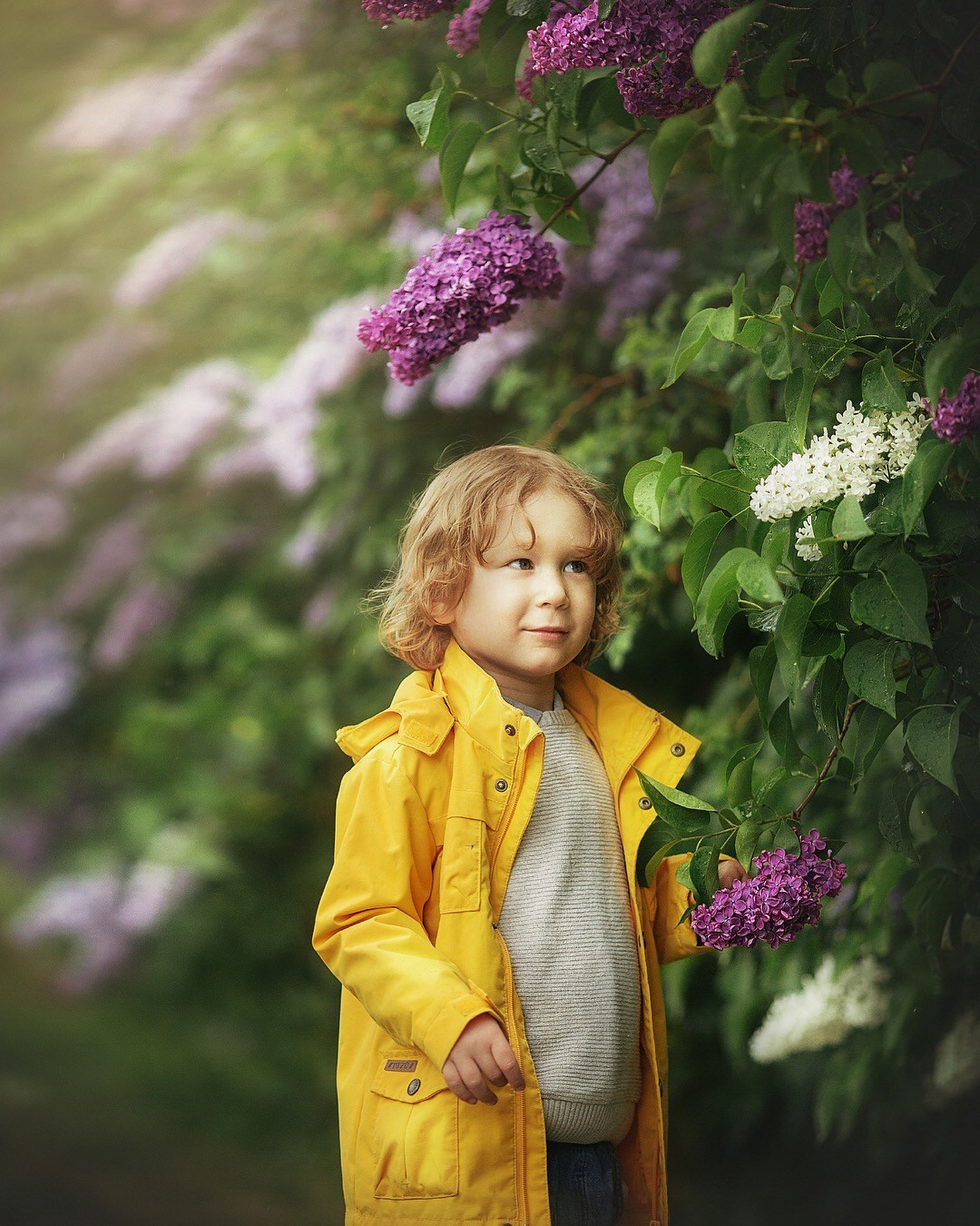 Kids Arts. Alla Semchenko — Photography Gran Canaria, Art / Family / Kids / Video & Photo Books