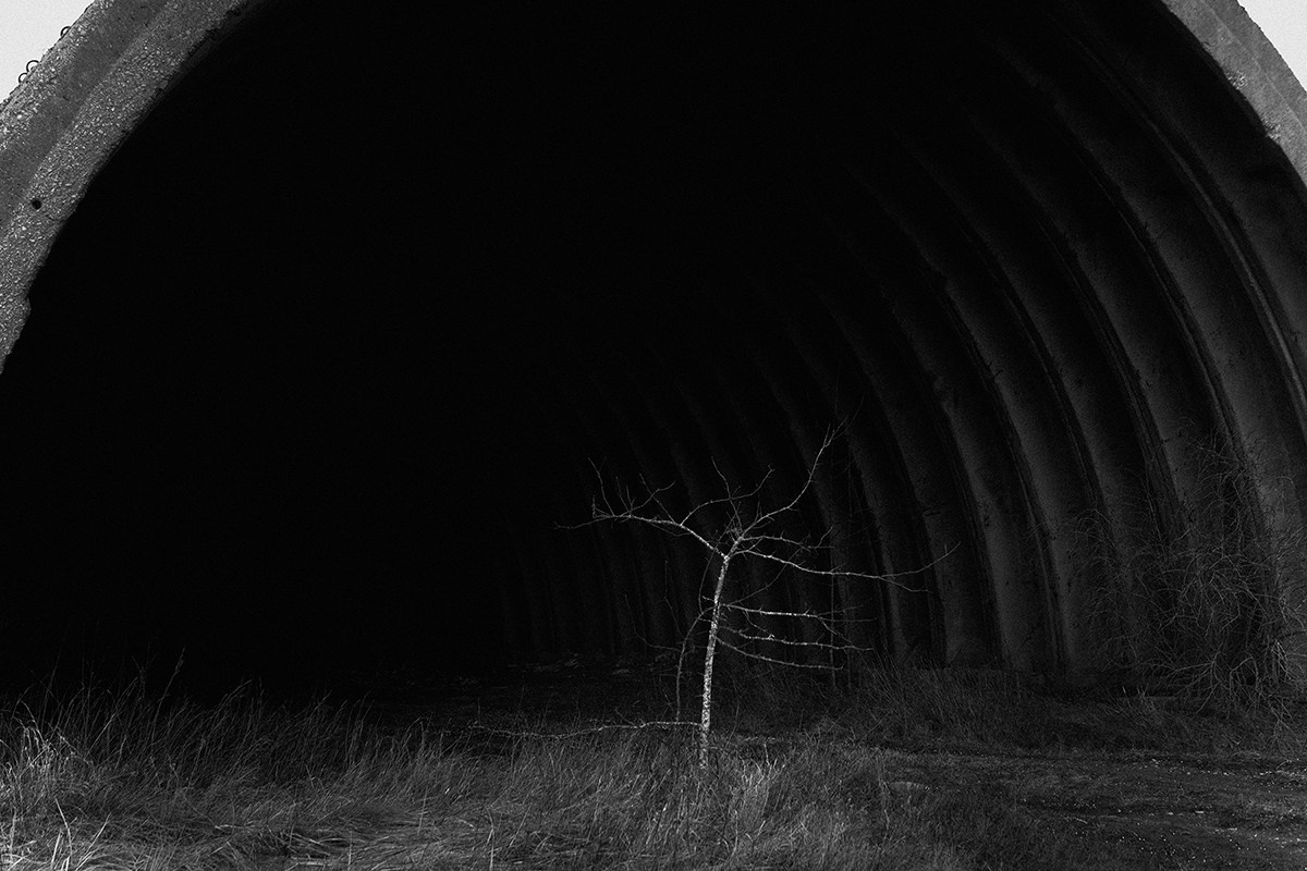 Catalogue of Forgone Objects. Jana Gertz