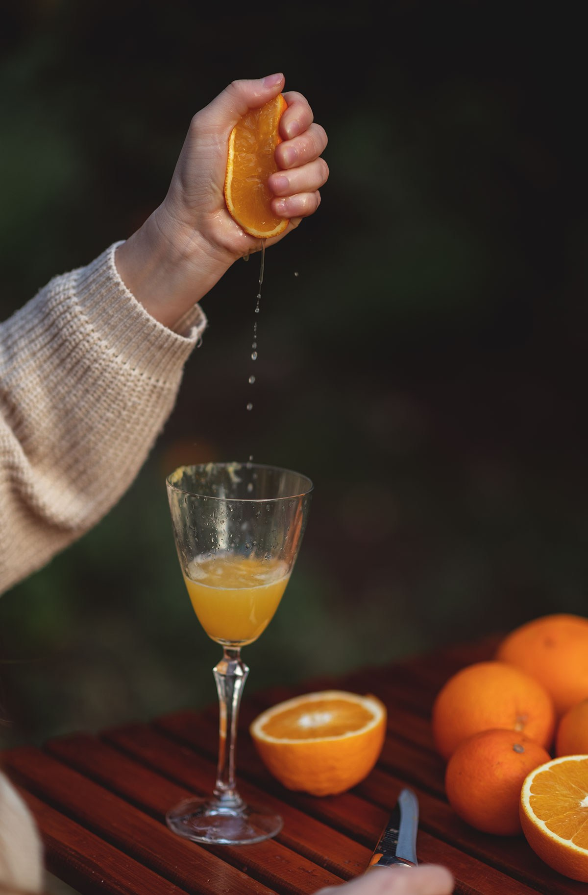 Апельсиновый сад в Анталии. Фотограф Анталия, Кемер, Белек, Сиде Дарья Кая