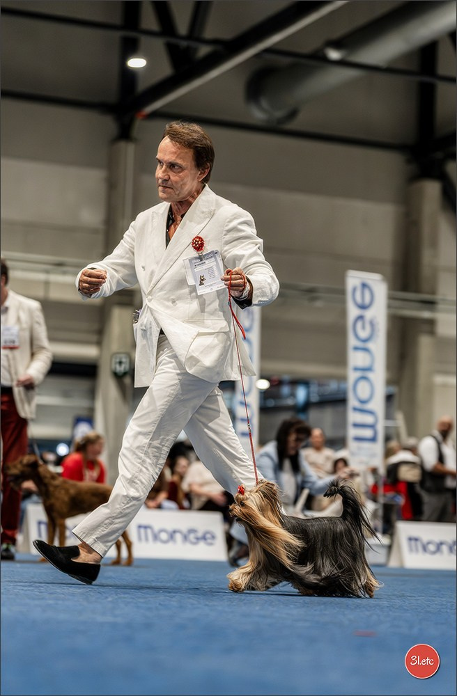 Dog Show Liege 🇧🇪 2026