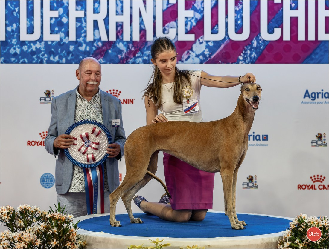 Le Championnat de France 2026 à   🇫🇷  Montluçon !