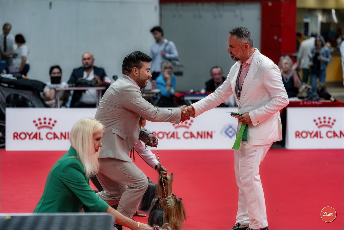 WDS 2026  🇮🇹  Bologna