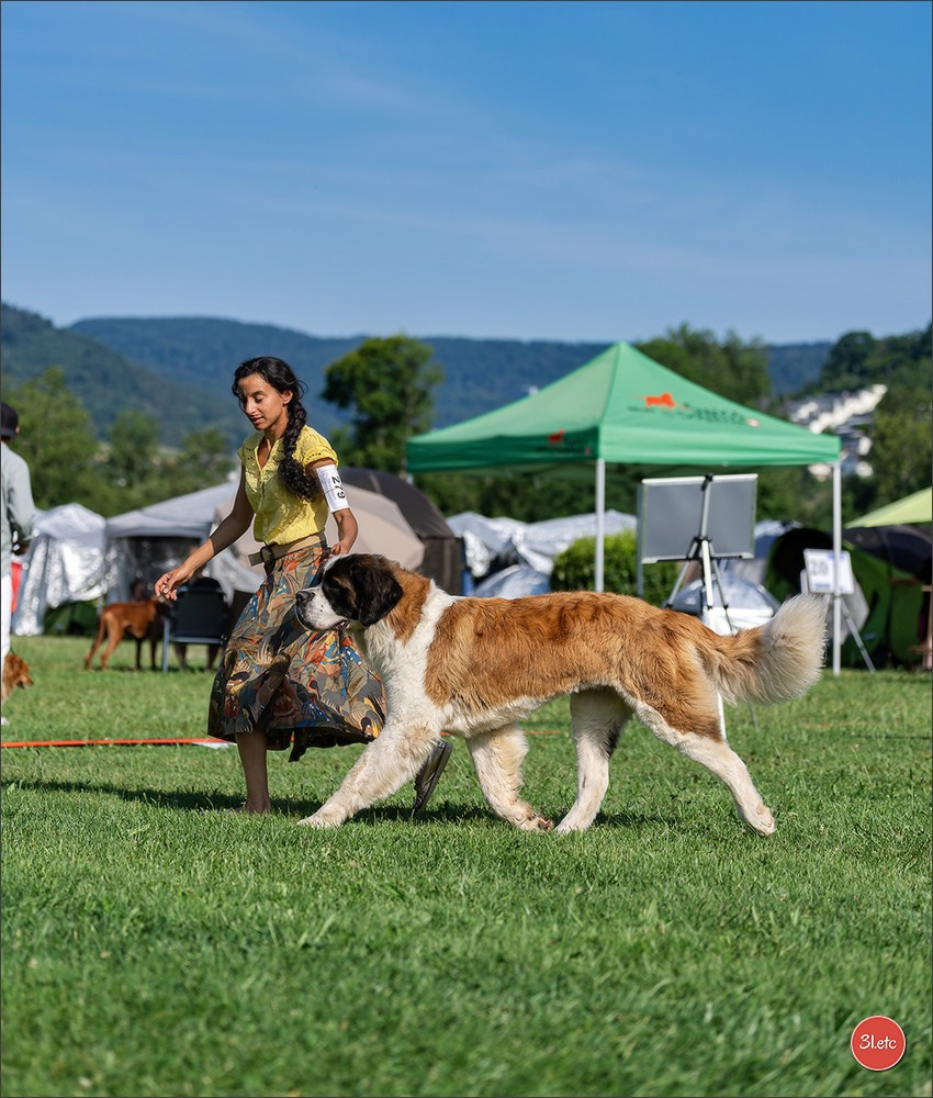🇨🇭 Aarau Dog Show 2026