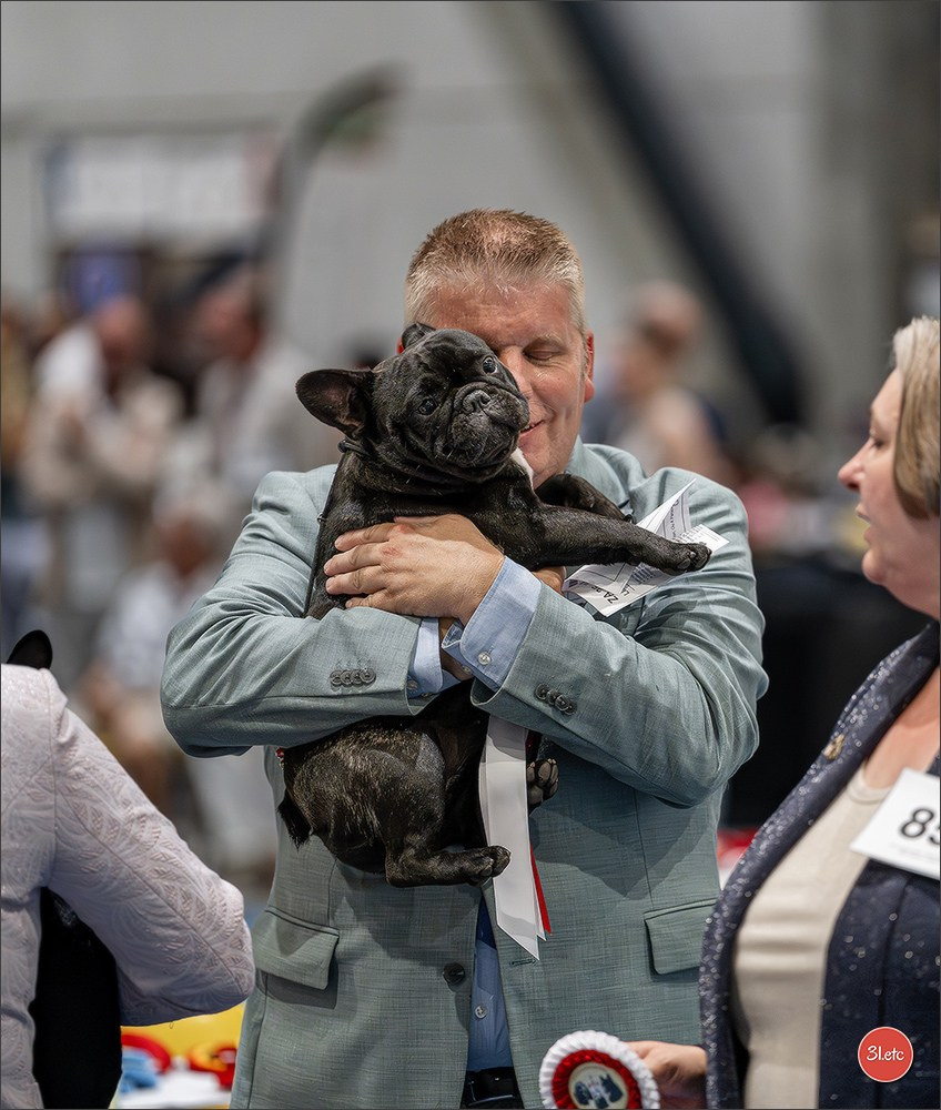 Dog Show Liege 🇧🇪 2026