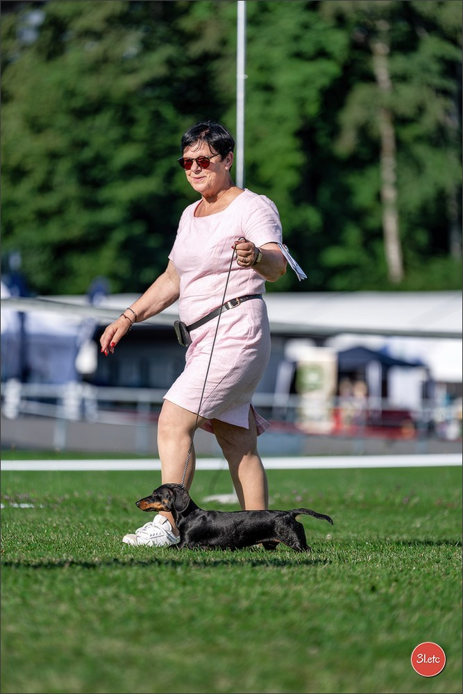 🇨🇭 Aarau Dog Show 2026