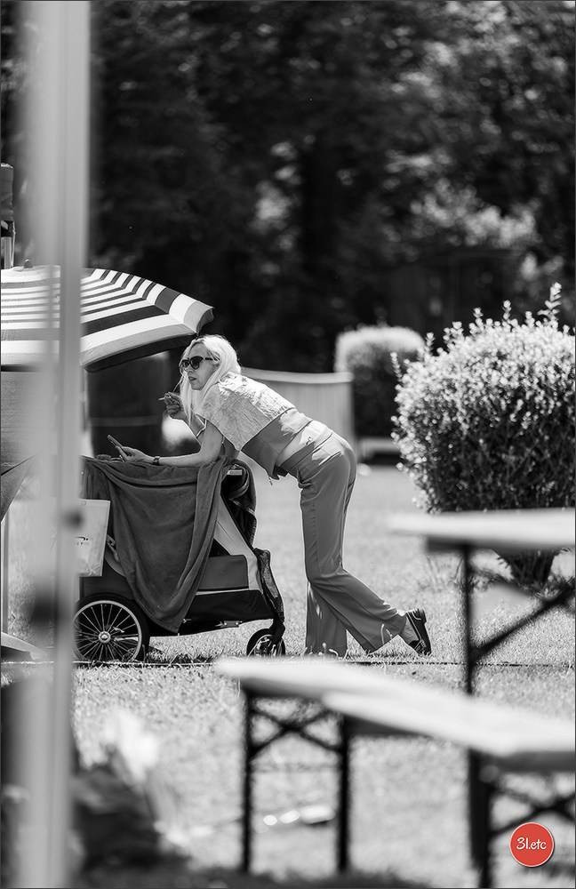 🇨🇭 Aarau Dog Show 2026