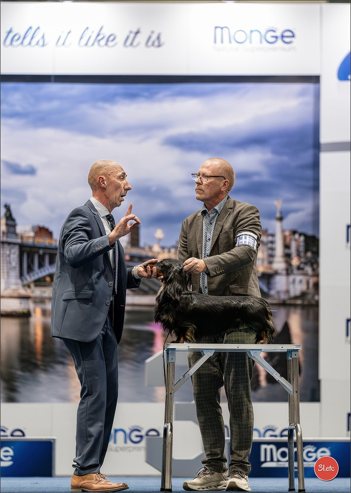 Dog Show Liege 🇧🇪 2026
