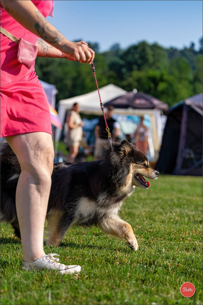 🇨🇭 Aarau Dog Show 2026