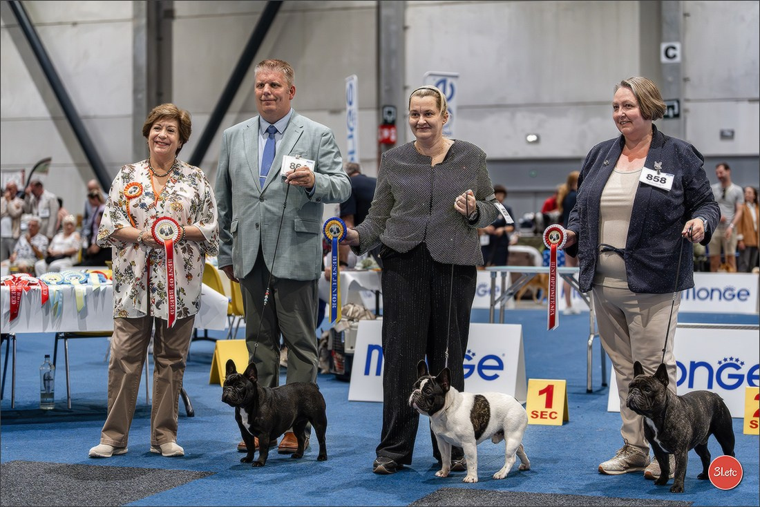 Dog Show Liege 🇧🇪 2026