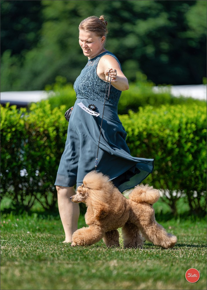 🇨🇭 Aarau Dog Show 2026