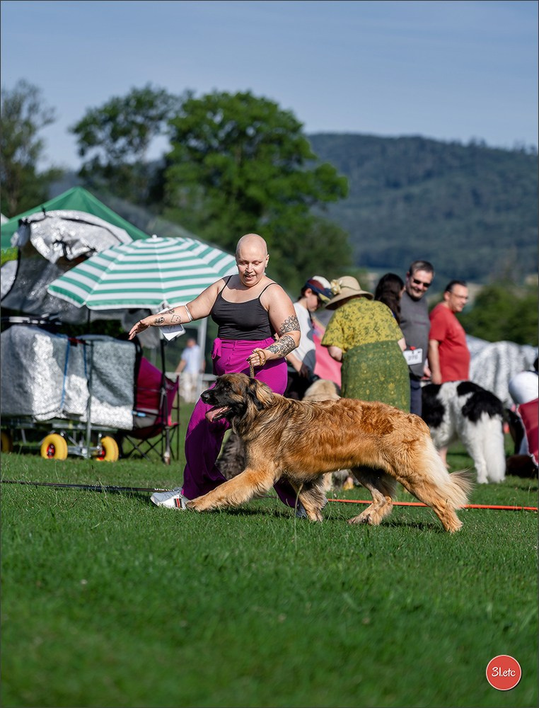 🇨🇭 Aarau Dog Show 2026