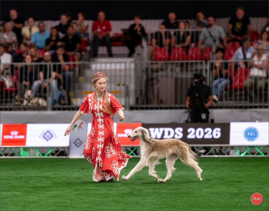 WDS 2026  🇮🇹  Bologna