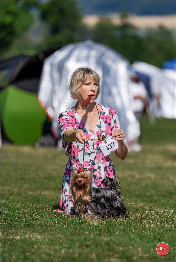 🇨🇭 Aarau Dog Show 2026