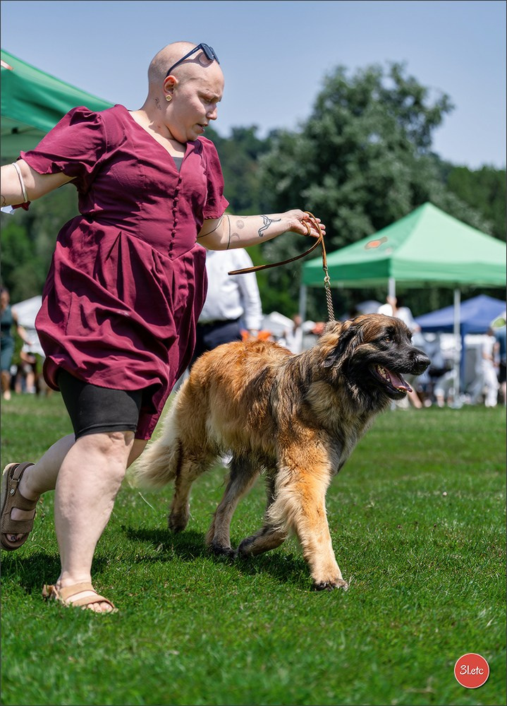🇨🇭 Aarau Dog Show 2026