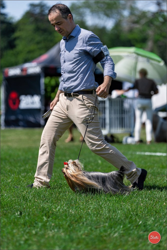 🇨🇭 Aarau Dog Show 2026