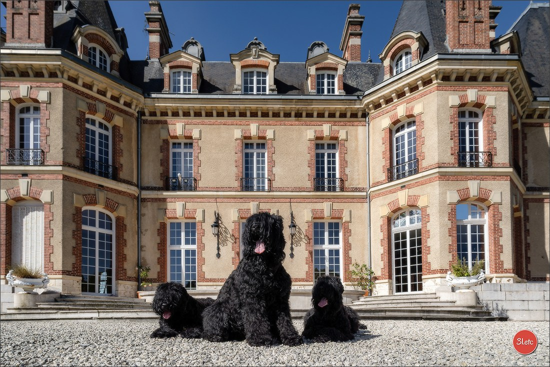 Photographie animalière. Photographe à Strasbourg | Les animaux, Portraits, Studio, Événements