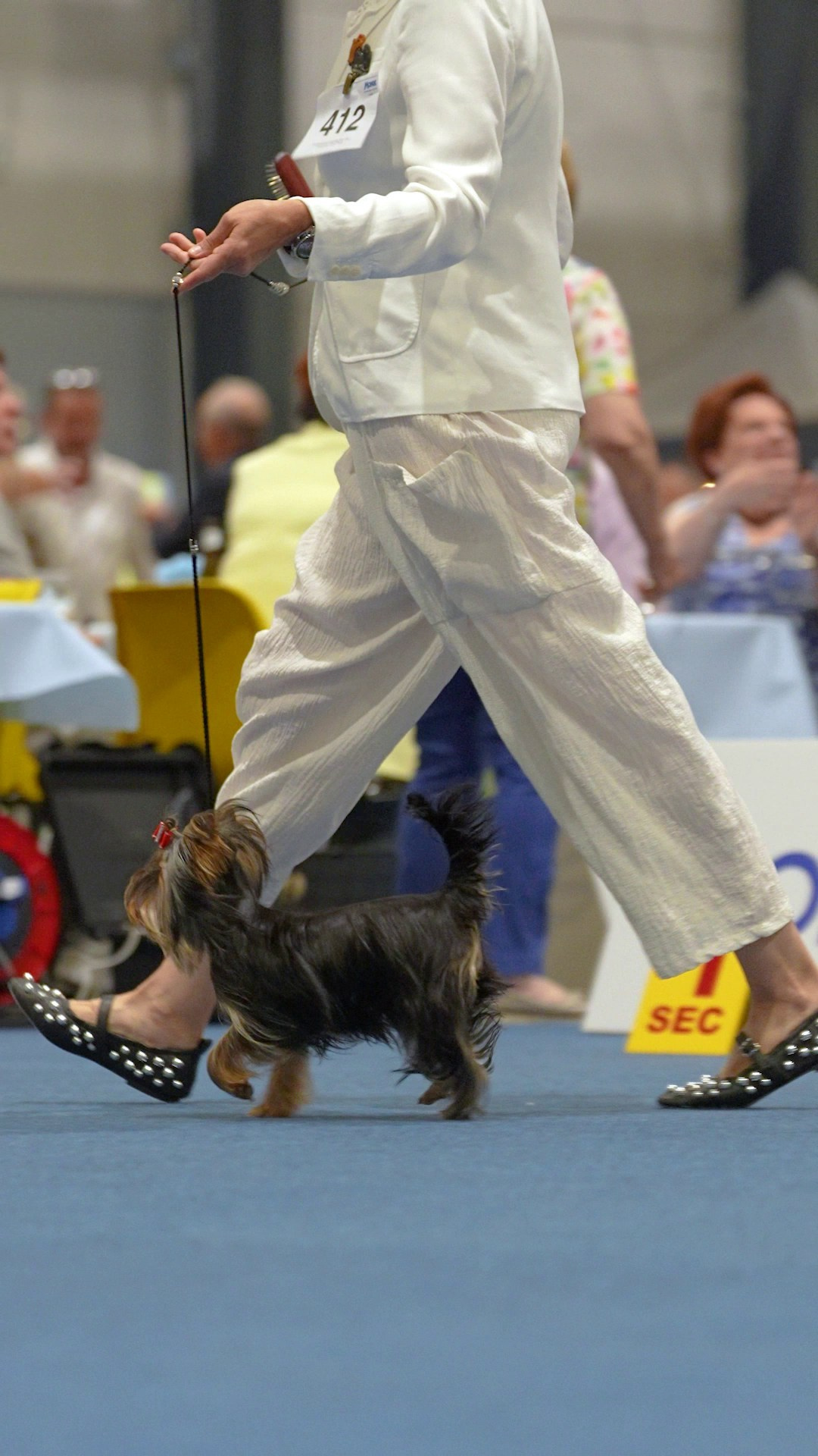 Dog Show Liege 🇧🇪 2026