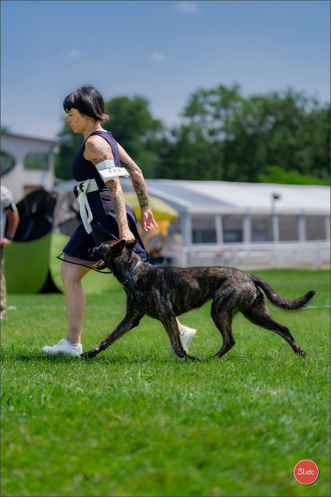 🇨🇭 Aarau Dog Show 2026