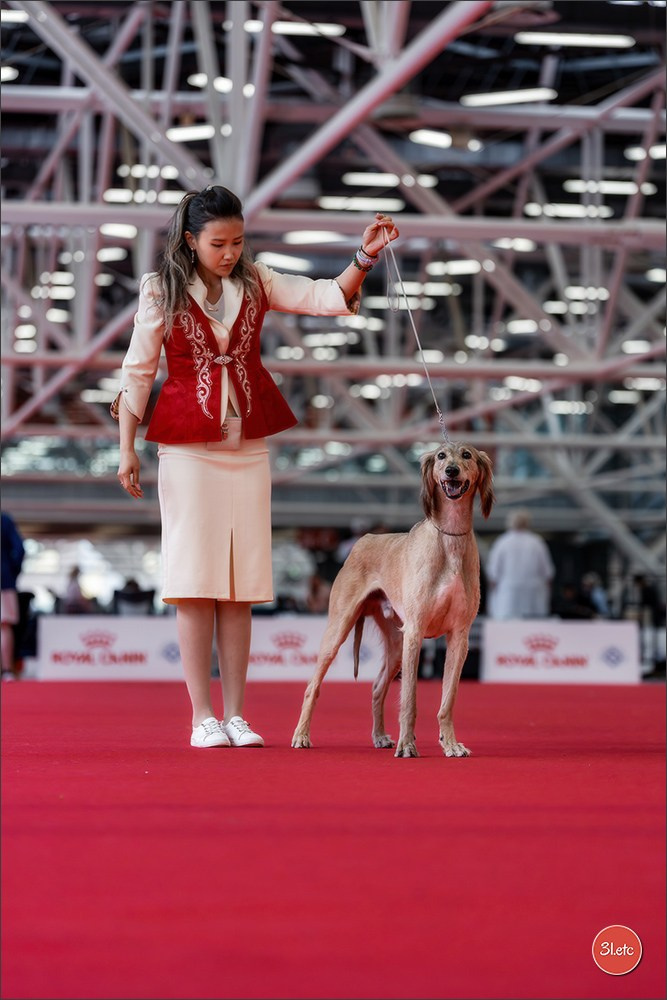 WDS 2026  🇮🇹  Bologna