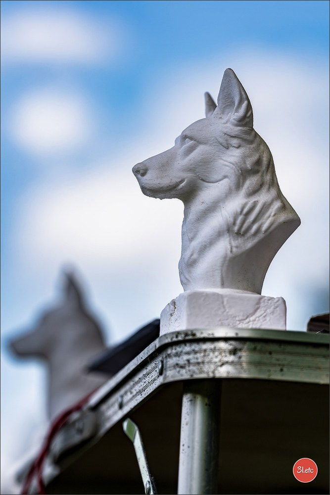 R.E. Berger Blanc Suisse - Beinheim 🇫🇷 (67)