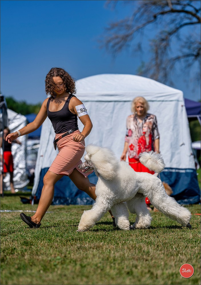 🇨🇭 Aarau Dog Show 2026