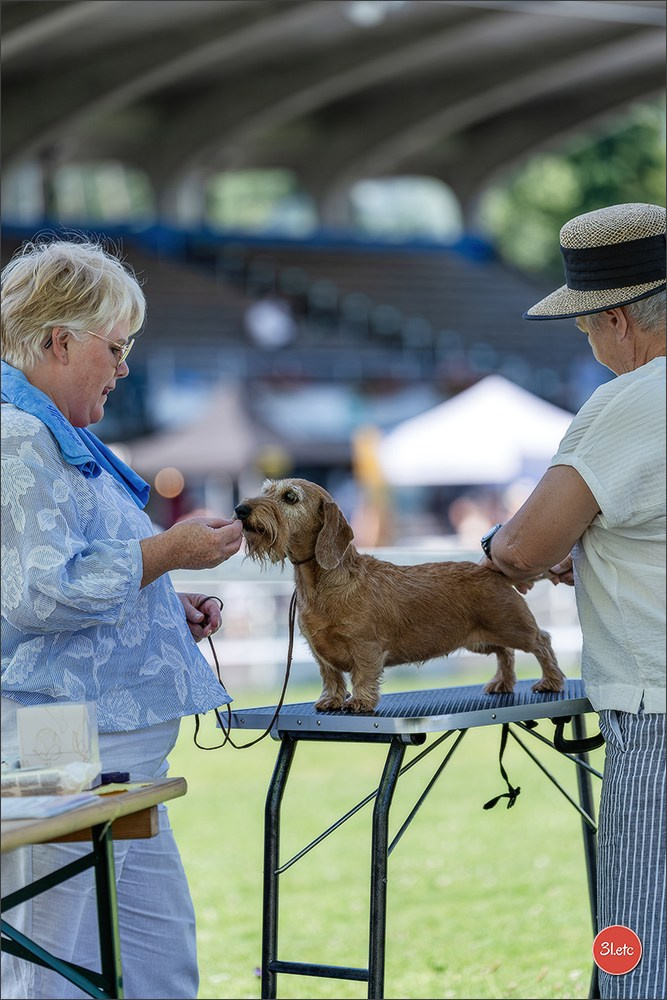 🇨🇭 Aarau Dog Show 2026