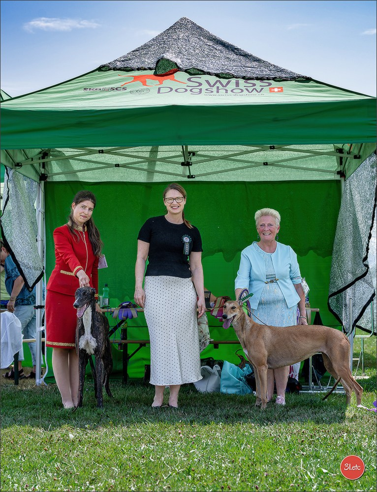 🇨🇭 Aarau Dog Show 2026