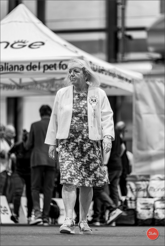 Dog Show Liege 🇧🇪 2026