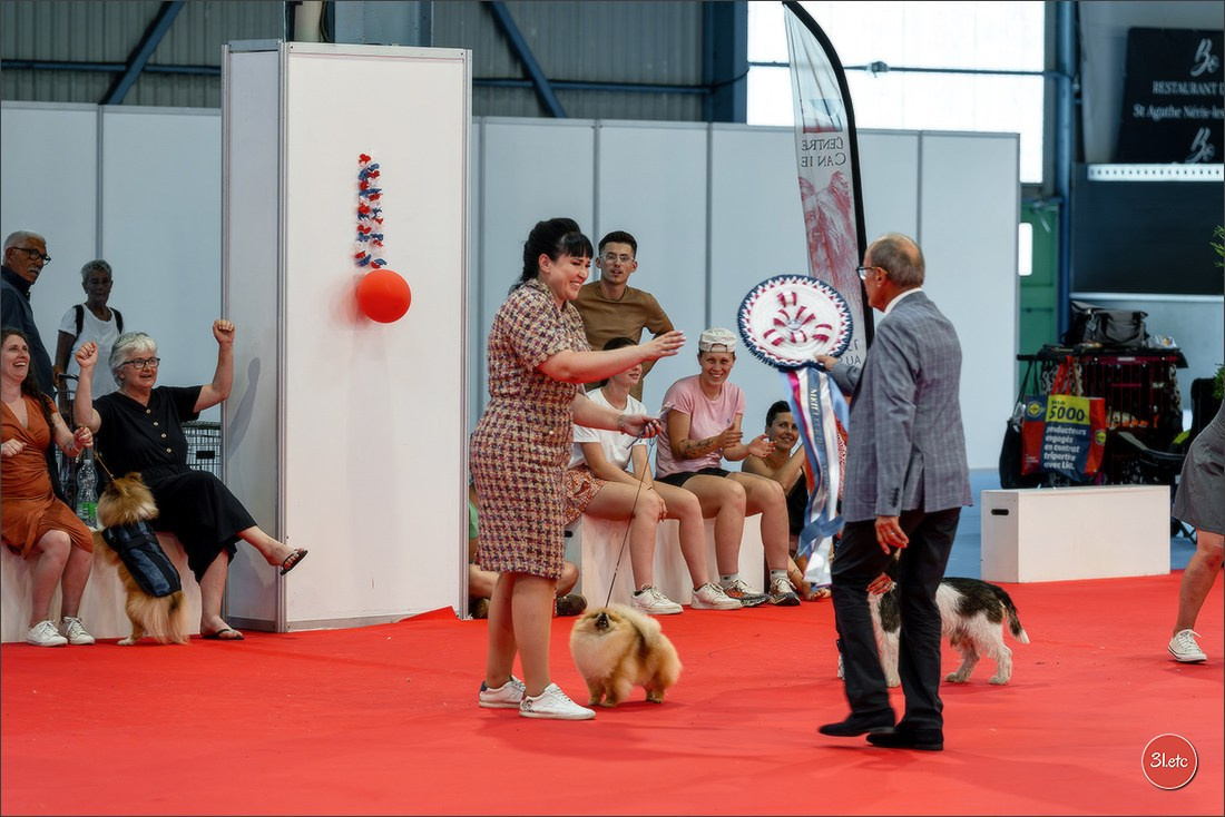 Le Championnat de France 2026 à   🇫🇷  Montluçon !