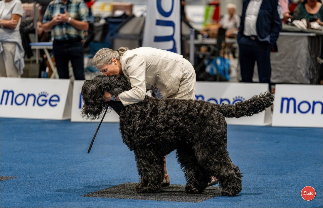 Dog Show Liege 🇧🇪 2026