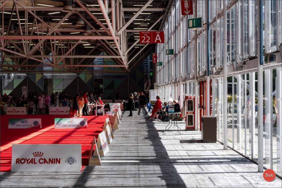 WDS 2026  🇮🇹  Bologna