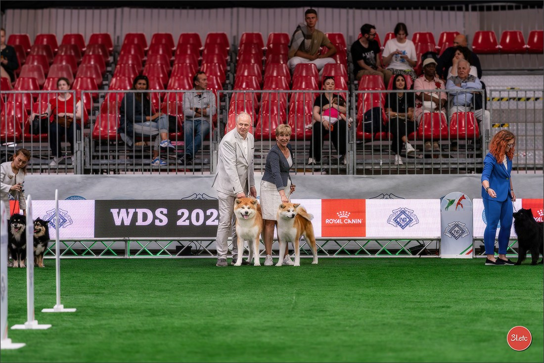 WDS 2026  🇮🇹  Bologna