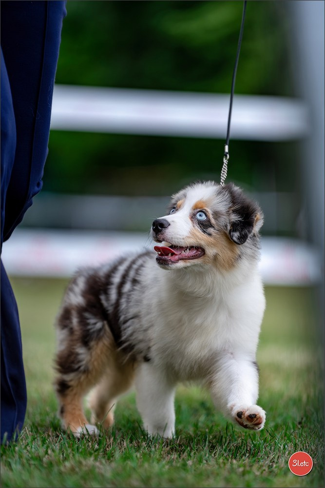 R.E. Berger Blanc Suisse - Beinheim 🇫🇷 (67)