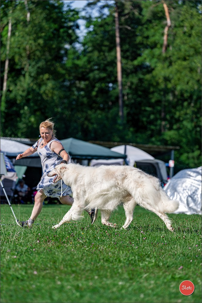 🇨🇭 Aarau Dog Show 2026