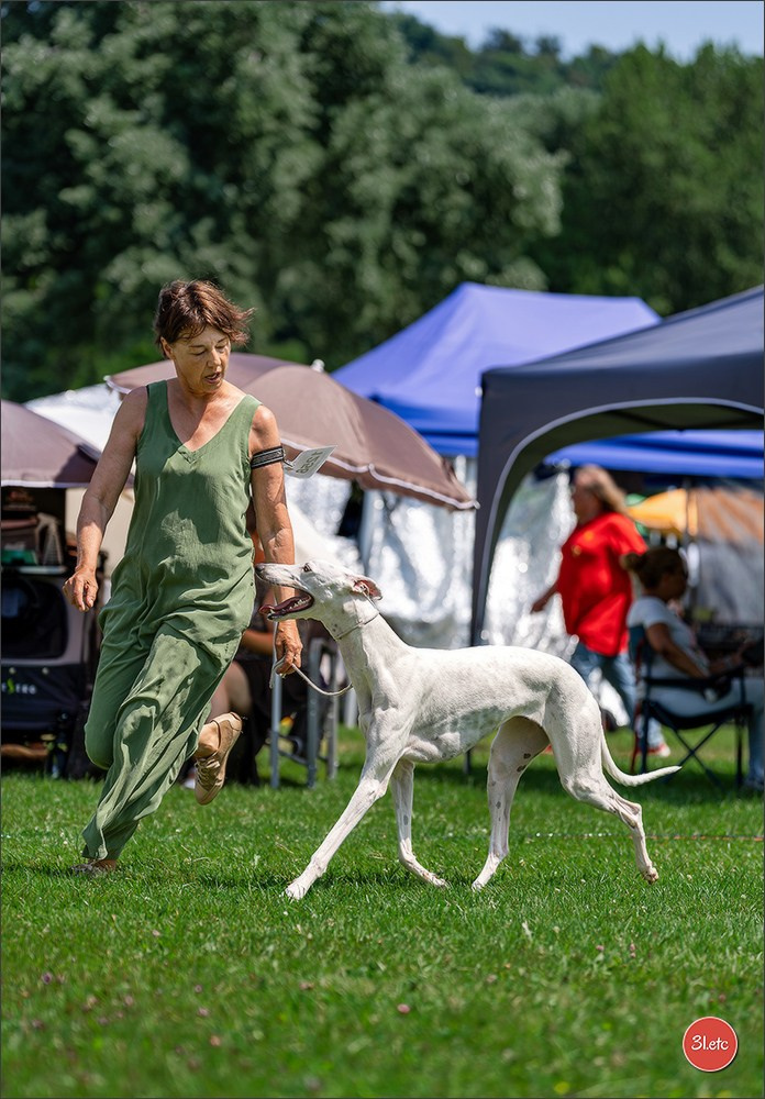 🇨🇭 Aarau Dog Show 2026