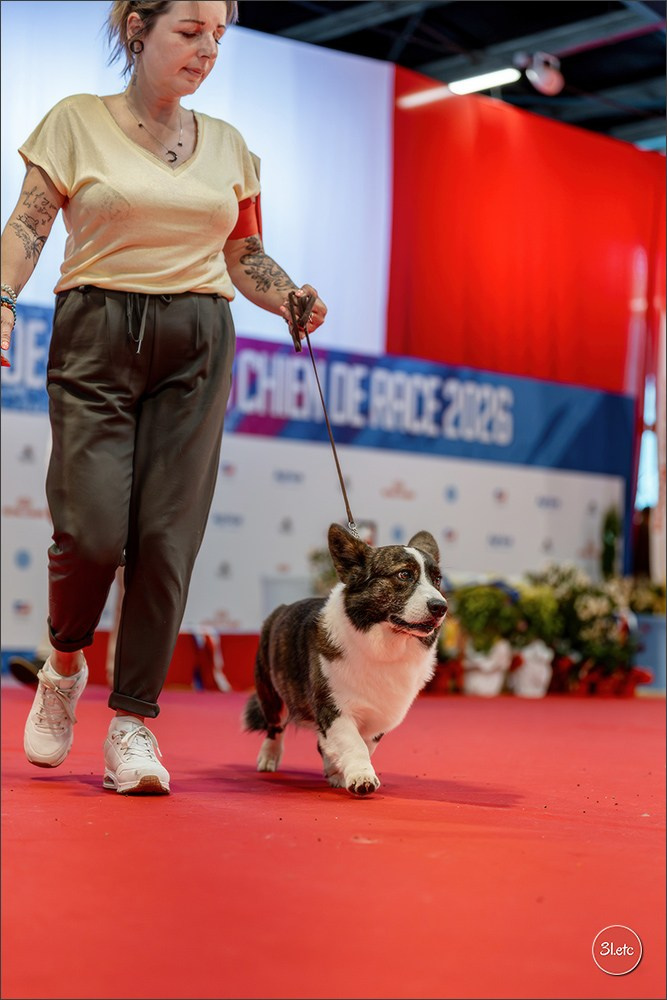 Le Championnat de France 2026 à   🇫🇷  Montluçon !