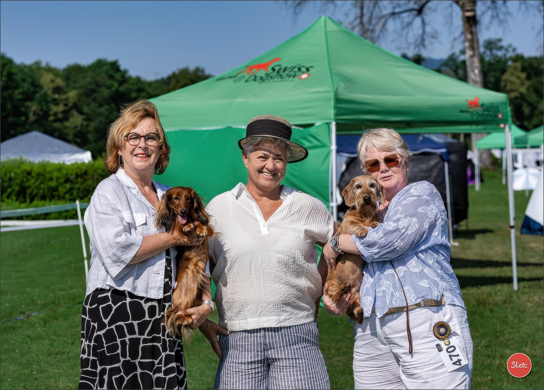 🇨🇭 Aarau Dog Show 2026