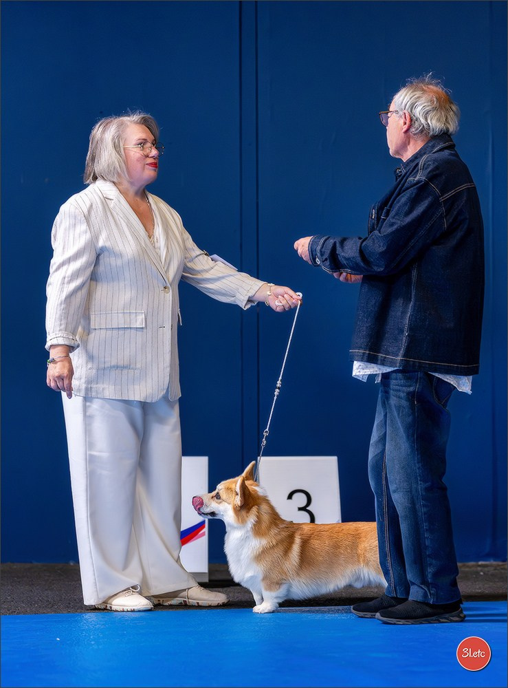 Le Championnat de France 2026 à   🇫🇷  Montluçon !