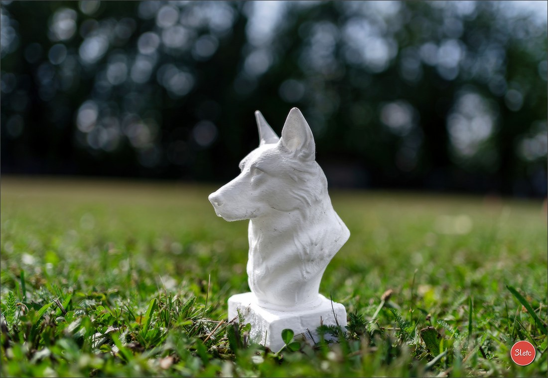 R.E. Berger Blanc Suisse - Beinheim 🇫🇷 (67)