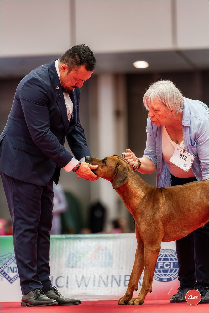 WDS 2026  🇮🇹  Bologna