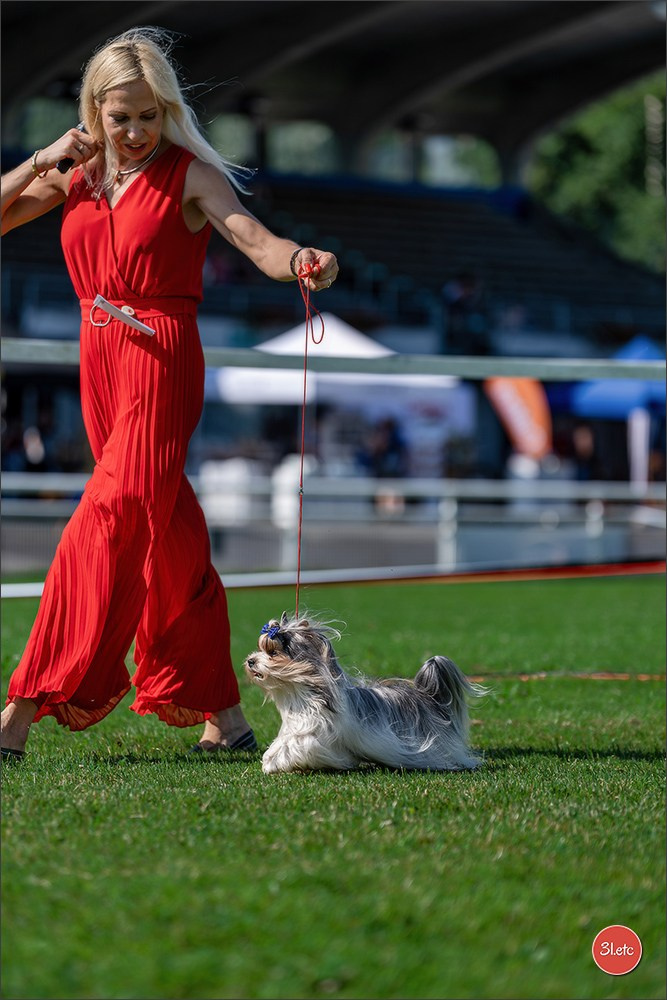 🇨🇭 Aarau Dog Show 2026