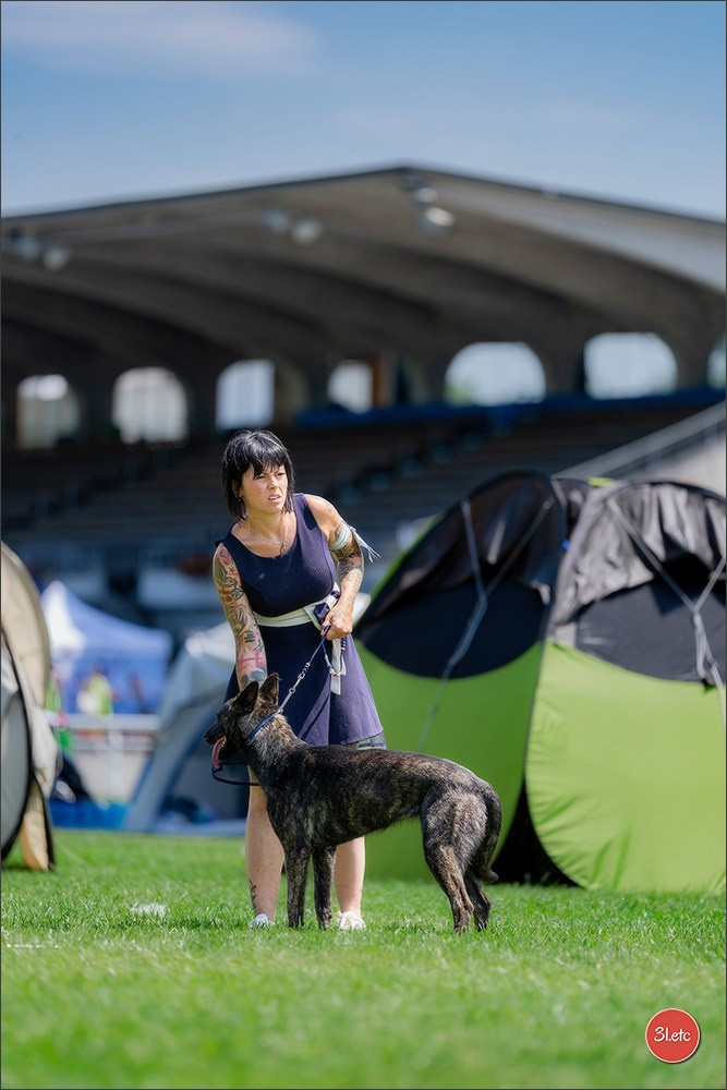 🇨🇭 Aarau Dog Show 2026