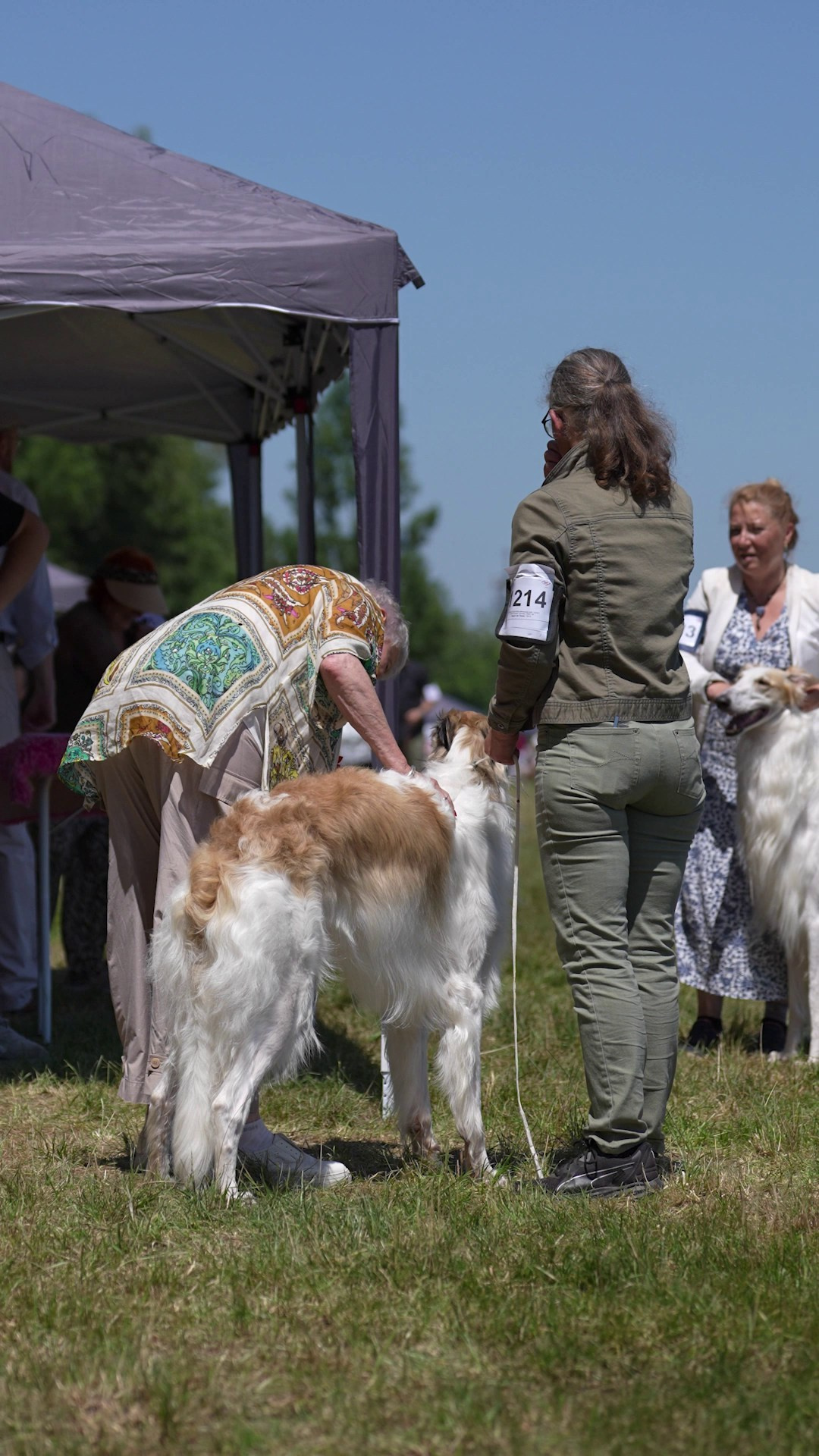 Dog Show - Hallbergmoos 🇩🇪 11-12/07/2026