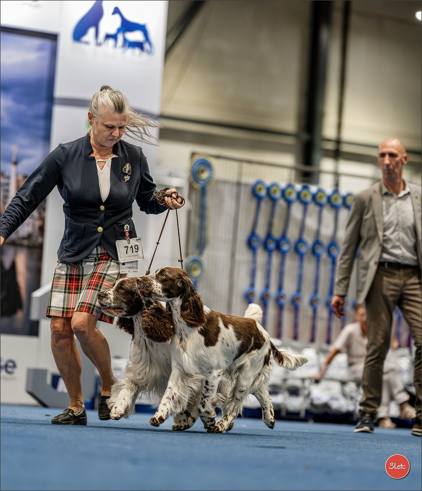 Dog Show Liege 🇧🇪 2026