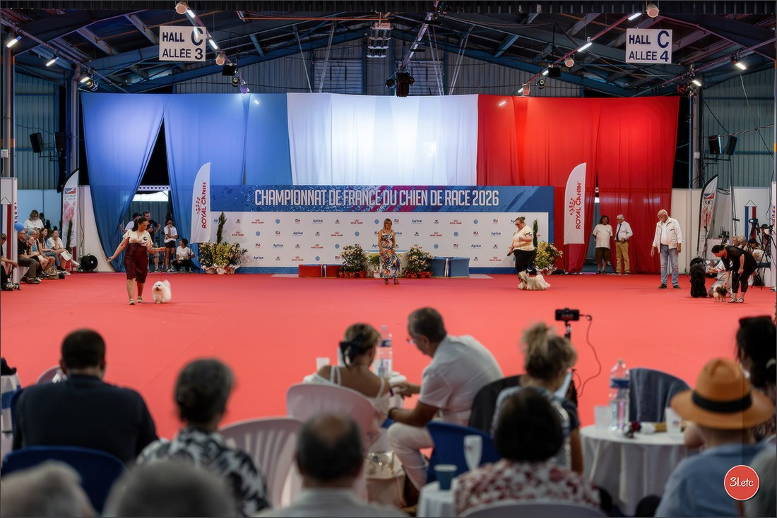 Le Championnat de France 2026 à   🇫🇷  Montluçon !