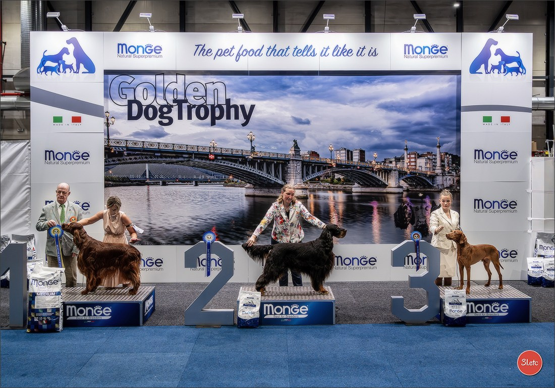 Dog Show Liege 🇧🇪 2026