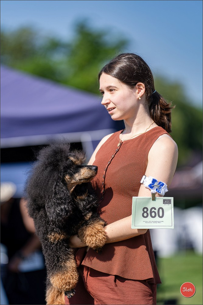 🇨🇭 Aarau Dog Show 2026